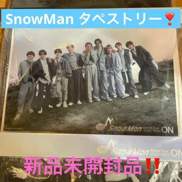 SnowMan 집합 태피스트리 돔 투어 2025-2026 ON