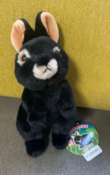 새상품 아마미 크로우 토끼 봉제 인형 약 20cm