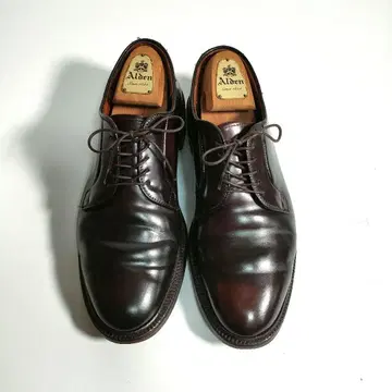 Alden 990 코도반 플레인토 No.8 9D 발리 라스트