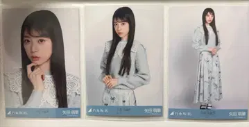 야다 모에카 노기자카46 브로마이드 카라 부착 코디 컴프