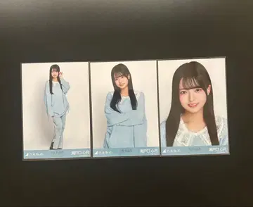 세토구치 신게츠 카라 부착 코디 컴프