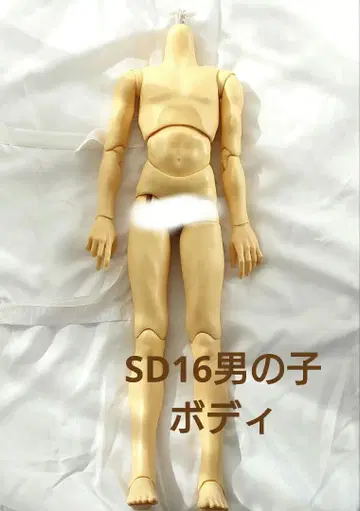 SD 16 남아 바디 중고