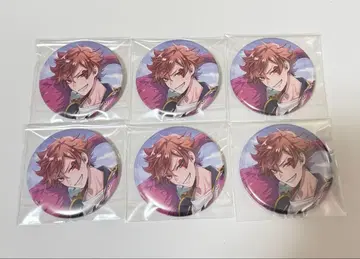 트위스테 기숙사 의류 에이스 캔뱃지 6점