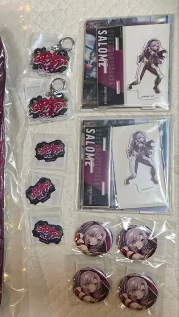 사로메 아크릴 스탠드 아크릴 키링 배지 세트