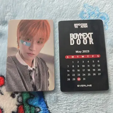 BOYNEXTDOOR 리우 The Action 반창고 트레이딩 카드