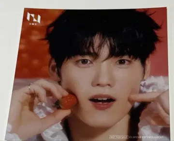 기무라 마사야 TSUTAYA 마시카쿠