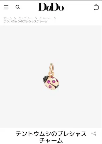 dodo 포메라토 무당벌레 참