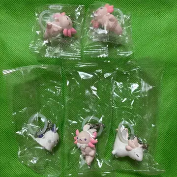 우사루파 메지루시