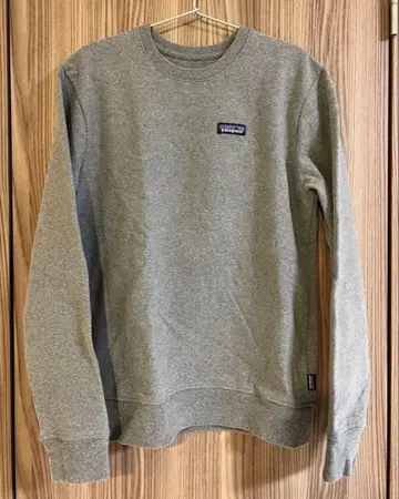 patagonia 파타고니아 P-6 라벨 업라이저 맨투맨 트레이닝복