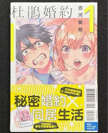 뻐꾸기 커플 대만판 해외