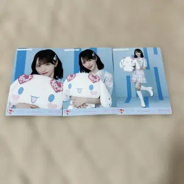 이코러브 노구치 이오리 브로마이드 컴프 시나모롤 콜라보 3