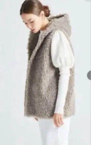 요리 푸들 베스트 프리 사이즈 그레이 요리