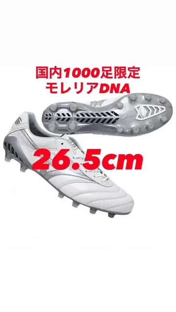 모렐리아 DNA 일본 국내 1000족 한정판