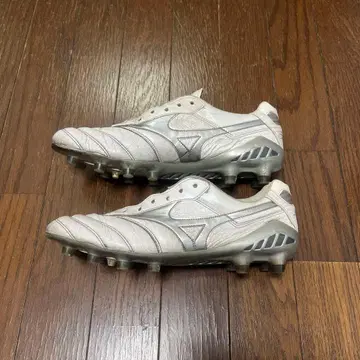 모렐리아 DNA 일본 국내 1000족 한정판