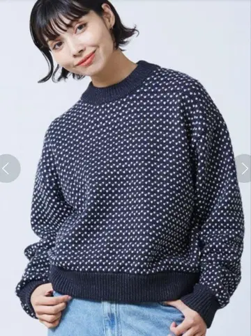 [ L.L.BEAN ] JAPAN EDITION 웨인 스웨터 바즈아이