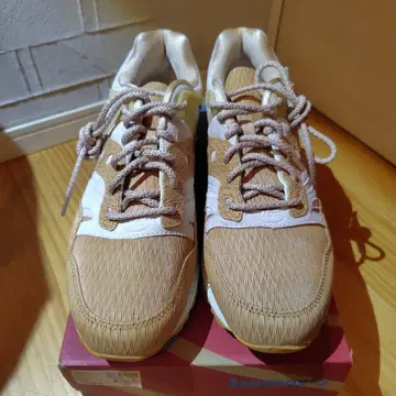 새상품! 써코니 GRID SD HT 카멜 브라운