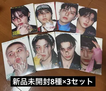 straykids 스키즈 accordion 아코디언 미개봉 트레이딩 카드