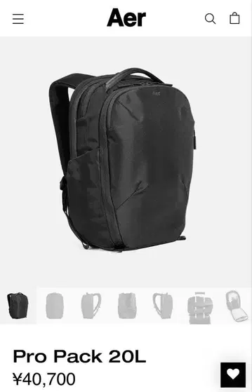 [새상품급] Aer Pro Pack 20L 블랙