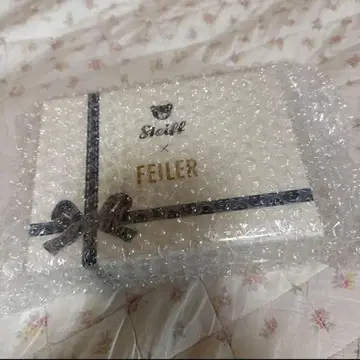 페이러 슈타이프 콜라보