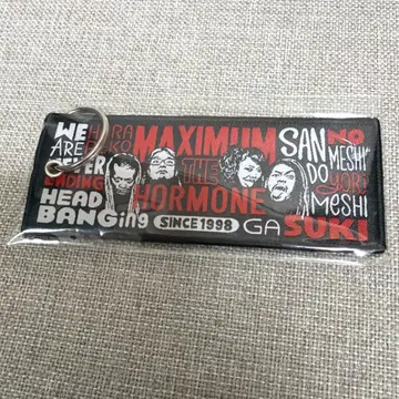 맥시멈 더 호르몬 MTH U.S. POP 플라이트 택