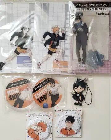 하이큐 히나타 카게야마 굿즈 세트