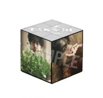 TAKERU FES '25 CUBE 사토 타케루