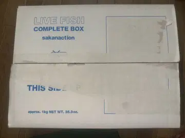 사카낙션 LIVE FISH COMPLETE BOX