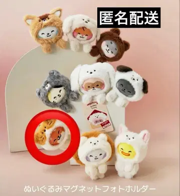 튀니니 zeroni 팝업 봉제인형 마그넷 포토홀더