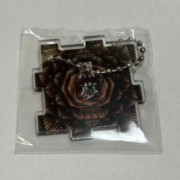 진미래제 2025 가챠 블랙 꿈 아크릴 키링