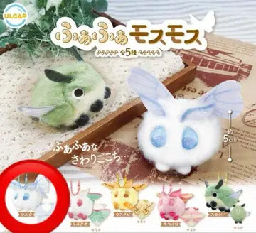 후아후아 모스모스 실크 5cm