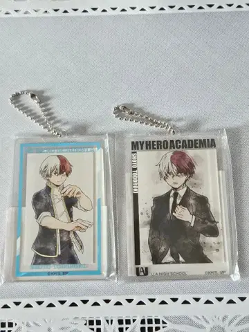 토도로키 쇼토 키링