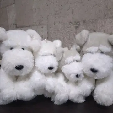 축 늘어지는 슈나우저 봉제 인형 대형 2개, 소형 2개