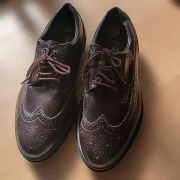 골프 신발 MIZUNO 25.5cm. 새상품급