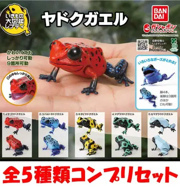 생물대도감 쁘띠 독개구리 전 5종류 컴플리트 세트 [새상품] 가챠