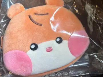 zeroni 비니니 사진 홀더 파우치 성한빈