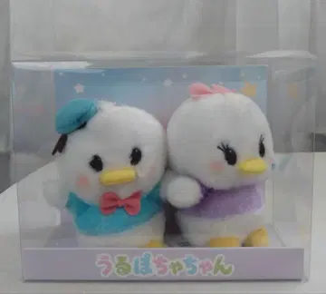 우루포짱 도날드 데이지 투명 박스 포함