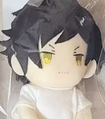 우타프리 키라 누이 스타