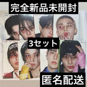 straykids 스키즈 아코디언 미개봉 트레이딩 카드