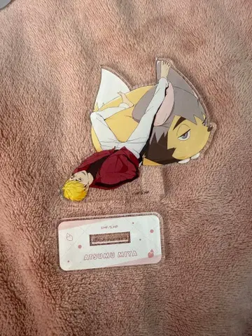 미야 아츠무 점프 페스타 아크릴 스탠드 하이큐 아크릴 스탠드 Tas