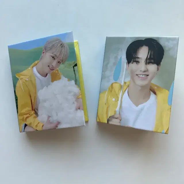 세븐틴 호시 디노 캐럿반