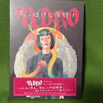 PEDRO 치뽀케나 요아케 미개봉 새상품 아유니 D