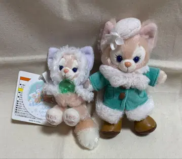 리나벨 윈터 2세트