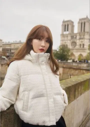 Her lip to Hooded Tweed Down Jacket