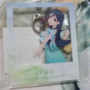 Yae 아크릴 키링
