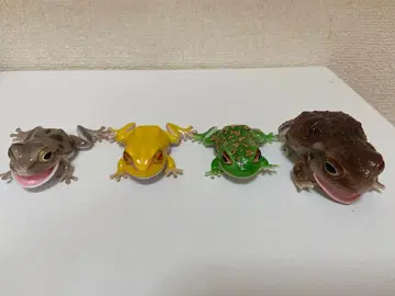 생물대도감 쁘띠 개구리