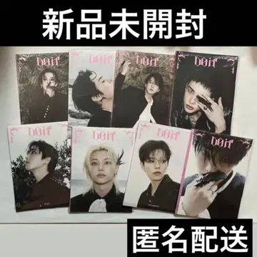 straykids 스키즈 accordion 아코디언 미개봉 트레이딩 카드