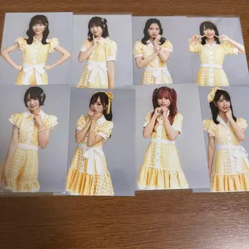 라프 x 라프 라플라프 브로마이드 지방 한정판 풀 컴프