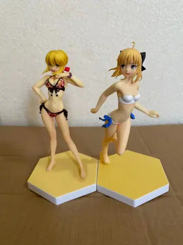 BEACH QUEENS Fate/EXTRA 세이버 세이버 릴리 세트
