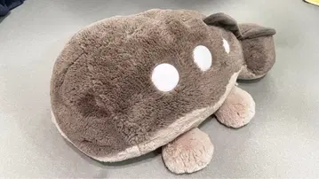 두오 포근포근 안고 자는 인형