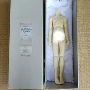 [ SD13 ] 슈퍼돌피 남아 바디